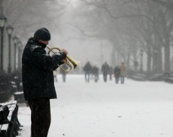 Trumpet in Winter