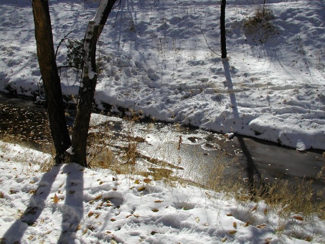 Santa Fe River in Winter