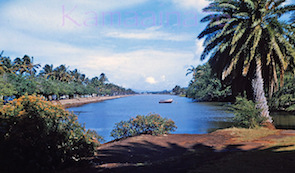 Ala Wai Canal. 1960