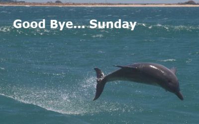 Sunday, Boy and Dolphin