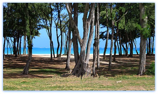 Waimanalo-Beach