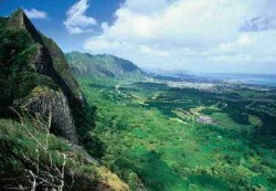 Oahu-Pali