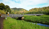 Bridge over Lumahai River