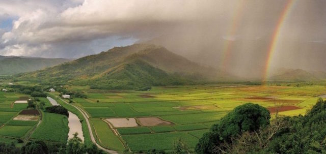 Hanalei River Valley Kauai Hawaii