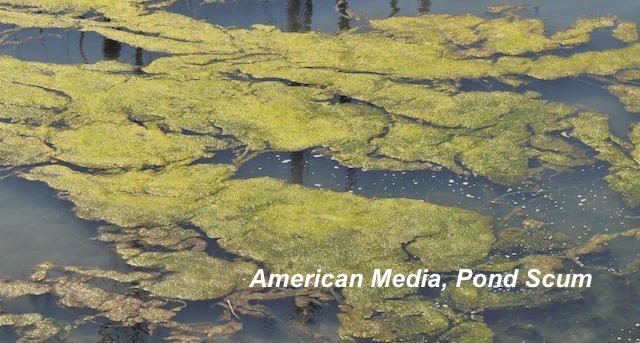 Mass Media = Pond Scum
