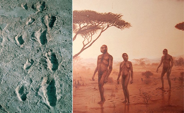 3.6 millionyears ago Laetoli Tanzania footprints in Mud