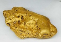 Gold Nugget