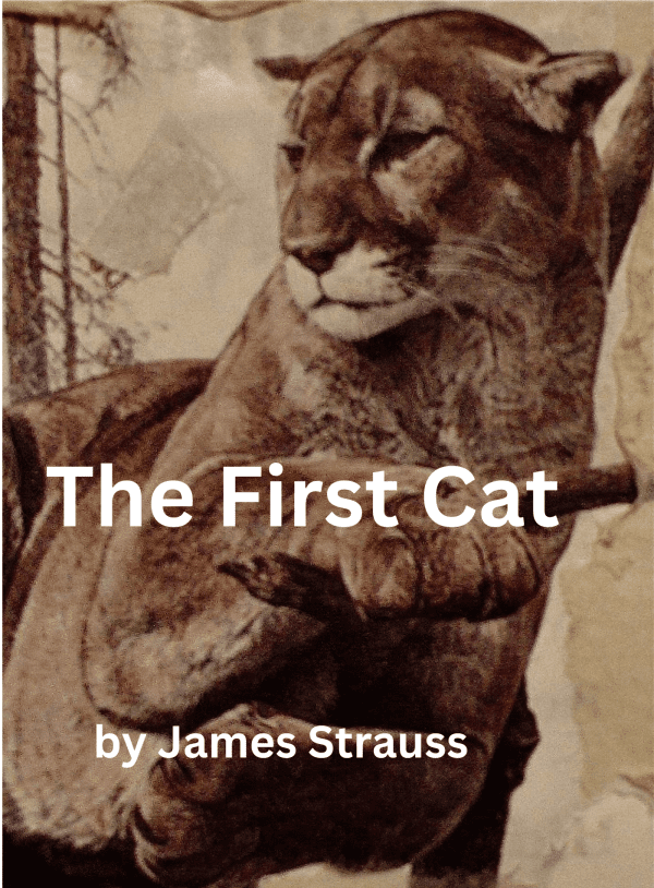 The First Cat