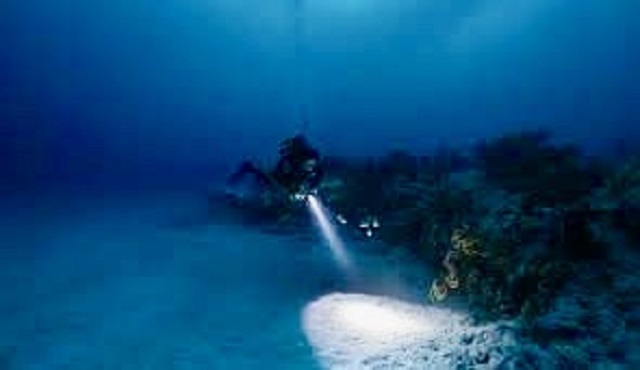 Underwater Night Dive