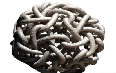 THE COWARDLY LION, Volume Six, Chapter XI