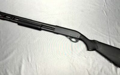 THE COWARDLY LION, Volume Six, Chapter X