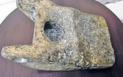 THE COWARDLY LION, Volume Six, Chapter VIII