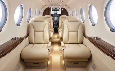 THE COWARDLY LION  Volume Six, Chapter XIV