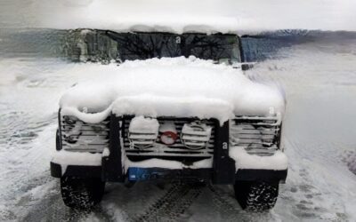 THE COWARDLY LION, Volume Six, Chapter XII