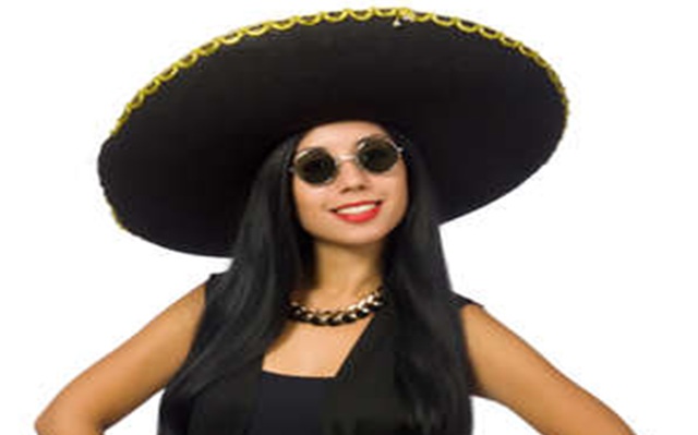 THE COWARDLY LION, Volume Six, Chapter XVII