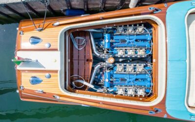 THE COWARDLY LION, Volume Six, Chapter XIX