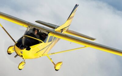 THE COWARDLY LION, Volume Six, Chapter XV