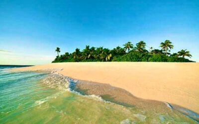 THW COWARDLY LION, Volume Six, Chapter XXIX