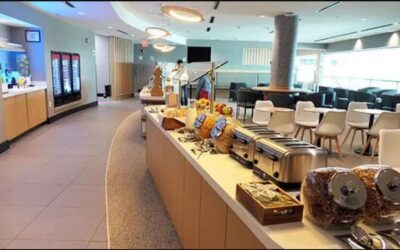 THE COWARDLY LION, Volume Six, Chapter XXVIII